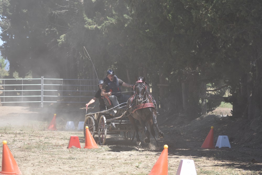 Primera Fase del Campeonato Navarro de Enganches Obst&aacute;culos